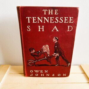 Antique Copy of The Tennessee Shad by Owen Johnson, 1916